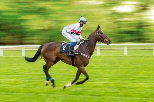 Singel jockey på hästkapplöpning utomhus Derby — Stockfoto