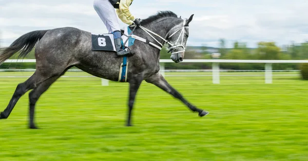 Detalj av singel jockey på hästkapplöpning — Stockfoto