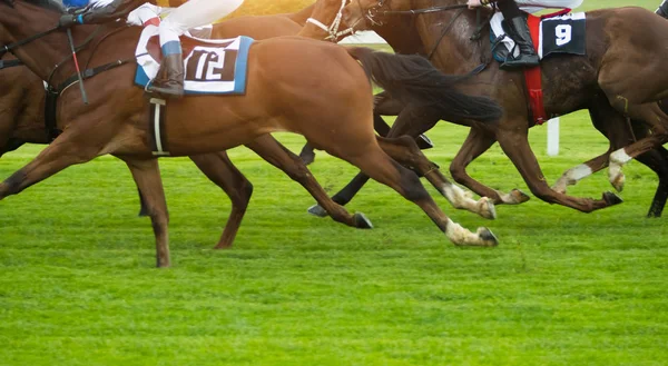 Hästkapplöpning utomhus Derby — Stockfoto