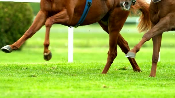 Super Cámara Lenta Del Derby Caballos Filmado Cámara Muy Alta — Vídeo de stock