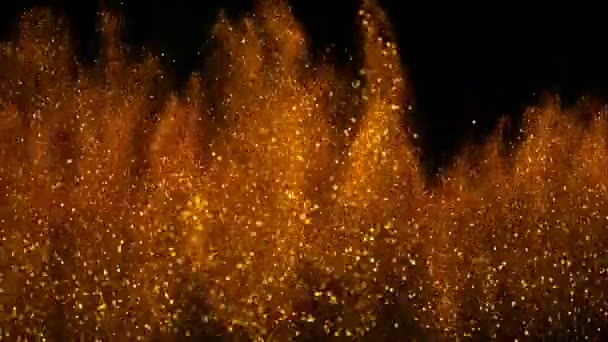 การเคล อนไหวช ดของอน ภาคทองค าแวววาวบนพ นหล ความล กของจ ดโฟก ายท — วีดีโอสต็อก