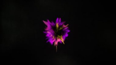 Siyah arka planda izole edilmiş süper yavaş renkli barut patlaması. Yüksek hızlı sinema kamerası, 1000fps.