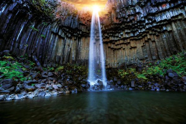 Svartifoss vodopád s čedičových sloupky, Island — Stock fotografie