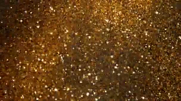 Сверхмедленное Движение Скользящих Золотых Лебедей Черном Фоне Небольшая Глубина Фокусировки — стоковое видео
