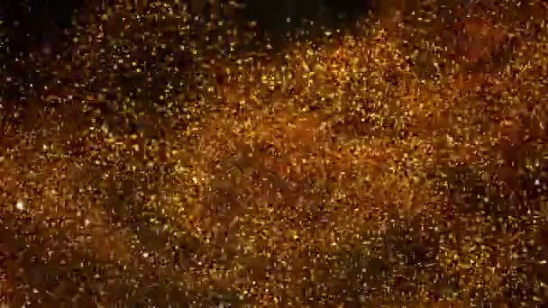 Super Slow Motion Glittering Golden Particles Black Background Shallow Depth — Stock Video