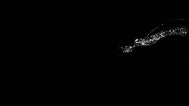 Siyah arka planda izole edilmiş çok yavaş su sıçratma hareketi. Çok hızlı bir kamerayla çekildi, 1000 fps..