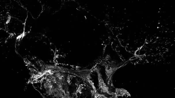 黒の背景に隔離された水しぶきの超遅い動き 1000 Fpsという超高速カメラで撮影しました — ストック動画