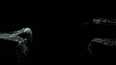 Siyah arka planda izole edilmiş çok yavaş su sıçratma hareketi. Çok hızlı bir kamerayla çekildi, 1000 fps..