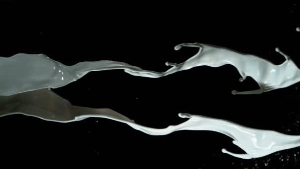 Сверхмедленное Движение Вращающихся Двух Молочных Косточек Черном Фоне Снято Высокоскоростную — стоковое видео
