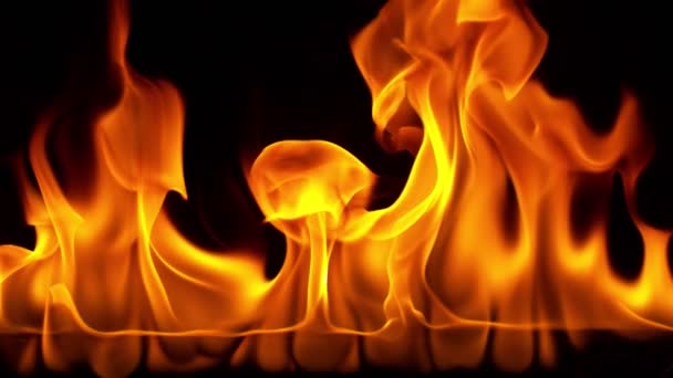 Super Slow Motion Fire Line Isolated Black Background Filmed High — Stock Video