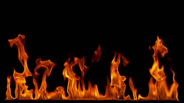 Super Slow Motion Fire Line Isolated Black Background Filmed High — Stock Video
