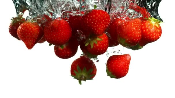 Super Cámara Lenta Caída Fresas Agua Sobre Fondo Blanco Filmado — Vídeo de stock