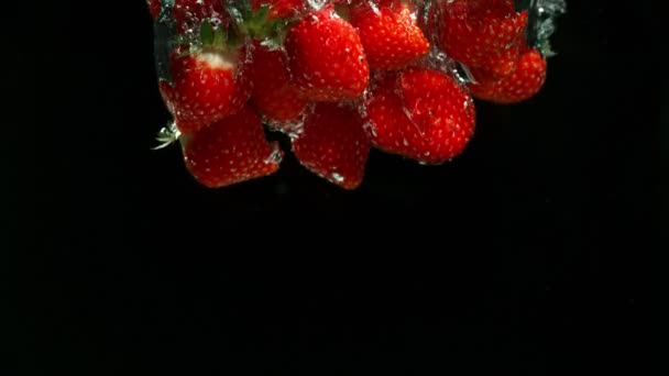 在黑色背景上将草莓落入水中的超慢运动 在高速影院相机上拍摄 1000 Fps — 图库视频影像