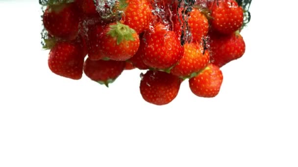 Super Zeitlupe Fallender Erdbeeren Ins Wasser Auf Weißem Hintergrund Gefilmt — Stockvideo