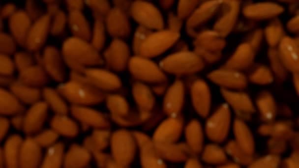 Super Slow Motion Flying Ammond Nuts Black Background Inglês Filmado — Vídeo de Stock