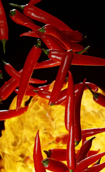 Pimientos picantes rojos voladores con llamas — Foto de Stock