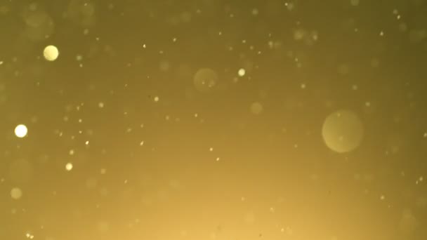Super Langzame Beweging Van Glinsterende Gouden Deeltjes Zwarte Achtergrond Ondiepe — Stockvideo