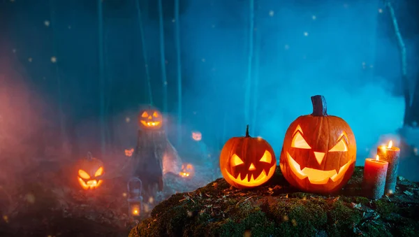 Spooky Halloween pumpor i skogen — Stockfoto