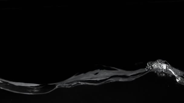 黒の背景に隔離された水しぶきの超遅い動き 高速フィルムカメラで撮影しました — ストック動画
