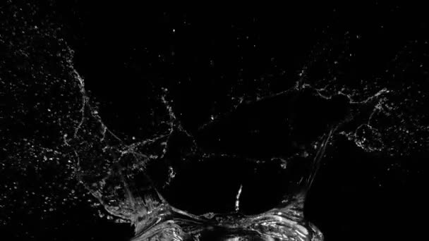 Супер Повільний Рух Бризок Води Ізольовано Чорному Тлі Знято Високошвидкісній — стокове відео