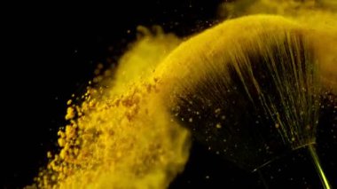 Makyaj fırçasının düşme tozu ve siyah arkaplanı çok yavaş. Yüksek hızlı sinema kamerası, 1000fps.
