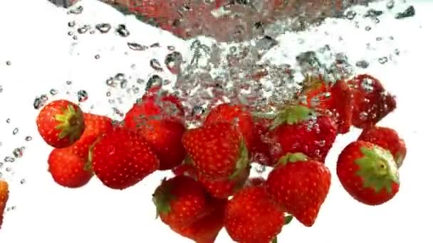 Mouvement Super Lent Des Fraises Tombantes Isolées Sur Fond Blanc — Video