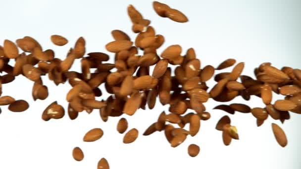 Super Slow Motion Flying Almond Nuts Collision Filmed High Speed — Stock Video