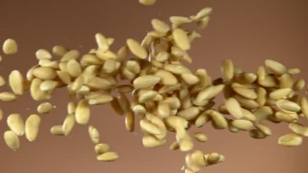 Super Slow Motion Flying Ammond Nuts Collision Filmé Sur Caméra — Video