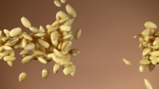 Super Slow Motion Flying Ammond Nuts Collision Filmé Sur Caméra — Video