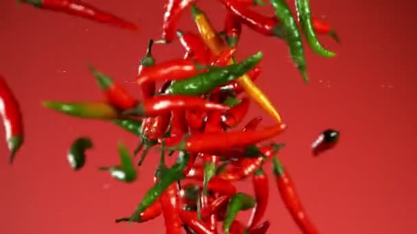 Super Langzame Beweging Van Gekleurde Chilipepers Botsing Rode Achtergrond Gefilmd — Stockvideo