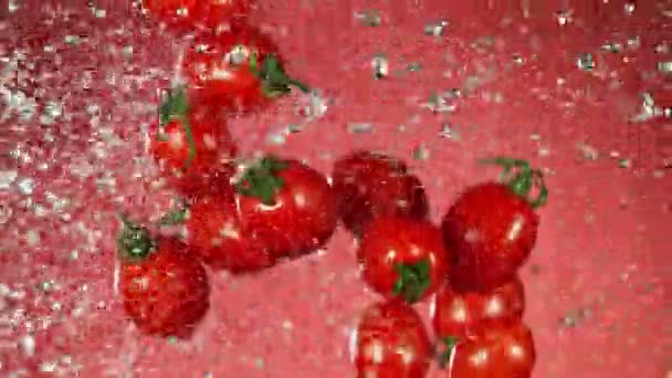 Super Langzame Beweging Van Vallende Tomaten Met Water Spatten Gefilmd — Stockvideo