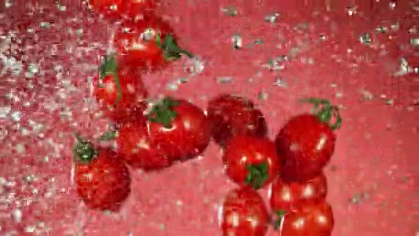 Superzeitlupe Fallender Tomaten Mit Wasserspritzern Gefilmt Mit High Speed Kinokamera — Stockvideo