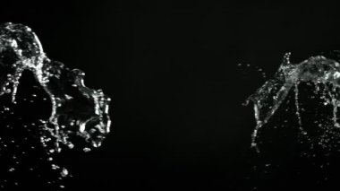 Uçan suyun süper yavaş akımı çarpışma esnasında sıçrar, siyah zemin. Yüksek hızlı sinema kamerası, 1000fps.
