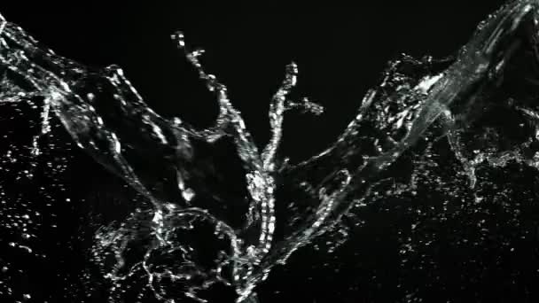 Mouvement super lent des éclaboussures d'eau en collision, fond noir. Filmé sur caméra de cinéma à grande vitesse, 1000fps.