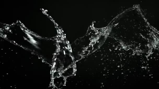 Super Langzame Beweging Van Vliegend Water Spatten Botsing Zwarte Achtergrond — Stockvideo