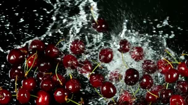 Супер Повільний Рух Падіння Вишні Бризками Води Знято Високошвидкісній Кінокамері — стокове відео