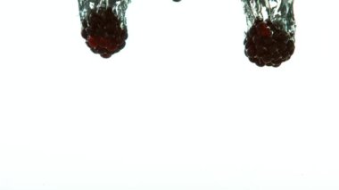 Bembeyaz arka planda böğürtlenlerin suya düşmesi süper yavaş bir hareket. Yüksek hızlı sinema kamerası, 1000 fps..