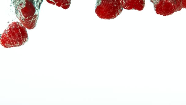 Super Slow Motion Falling Raspberries Water White Background Filmed High — Stock Video