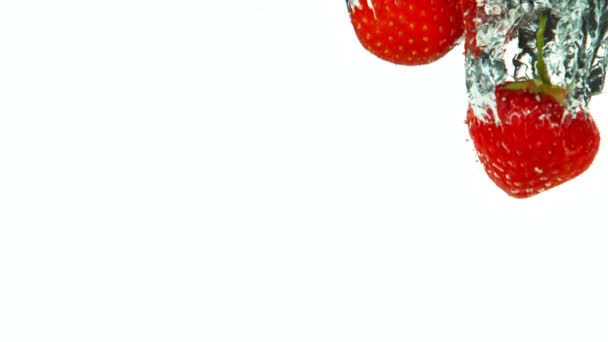 Super Slow Motion Falling Strawberries Water White Background Filmed High — Stock Video