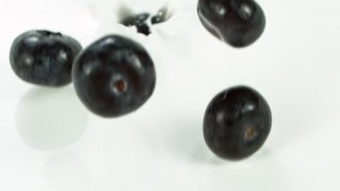 Yaban mersininin süte düşüşü çok yavaş. Yüksek hızlı sinema kamerası, 1000 fps..