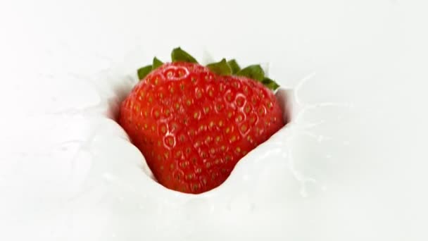 Super Zeitlupe Von Erdbeeren Die Milch Fallen Gefilmt Mit High — Stockvideo
