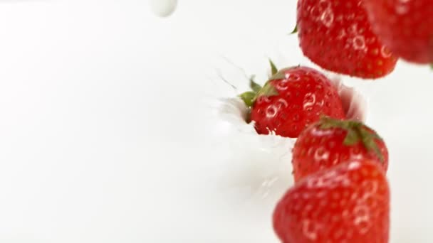 Super Zeitlupe Von Erdbeeren Die Milch Fallen Gefilmt Mit High — Stockvideo