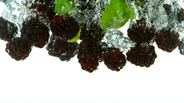 黑莓掉进水里 白色背景隔离 — 图库照片