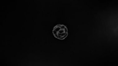 Siyah arka planda izole edilmiş süper yavaş beyaz toz patlaması. Yüksek hızlı sinema kamerası, 1000fps.