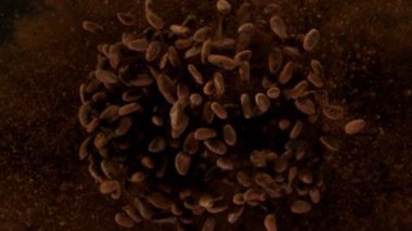 Kavrulmuş kakao çekirdeğinin havada patlaması çok yavaş oluyor. Yüksek hızlı sinema kamerası, 1000fps.