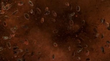 Kavrulmuş kakao çekirdeğinin havada patlaması çok yavaş oluyor. Yüksek hızlı sinema kamerası, 1000fps.