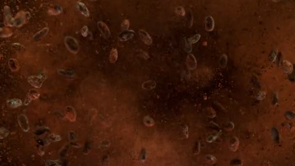 在空气中爆炸烤可可豆的超级慢动作 用高速摄像机拍摄 每秒1000英尺 — 图库视频影像
