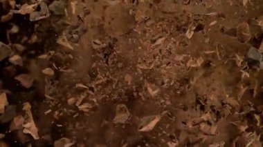 Kakao tozlu çiğ çikolata parçalarından oluşan süper yavaş çekim. Yüksek hızlı sinema kamerası, 1000fps.