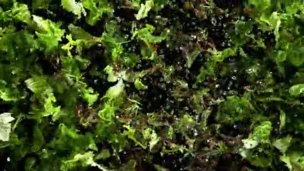 新鲜生菜的超级慢动作在空气中爆炸了 用高速摄像机拍摄 每秒1000帧 — 图库视频影像