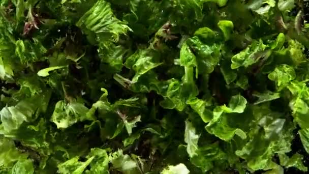 Mişcarea Foarte Lentă Salatei Proaspete Explodează Aer Filmat Camera Cinema — Videoclip de stoc